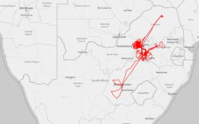 Another Exciting Year of Flying